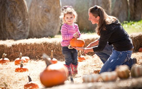 Oklahoma Agritourism  Fall Pumpkin Patches and Mazes 