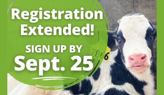 Adopt a Cow With Discovery Dairy and Ag in the Classroom--Registration Ends September 25! 