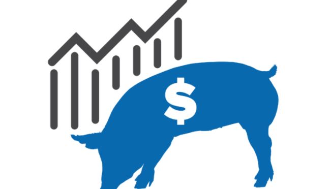Four Key Issues Impacting the Pork Industry
