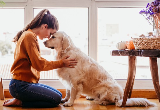 Pets Play a Vital Role in Mental Health