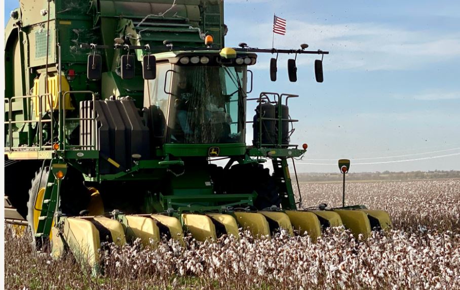 Crop Progress Report Show Oklahoma Cotton Harvest is 60% Completed