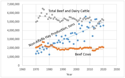 Improving Hay Feeding Efficiency in Cattle