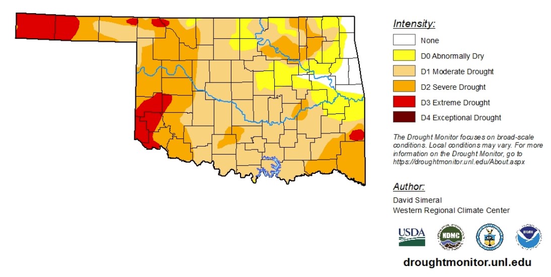Drought Monitor Report Shows 95% of Oklahoma Abnormally Dry or Worse