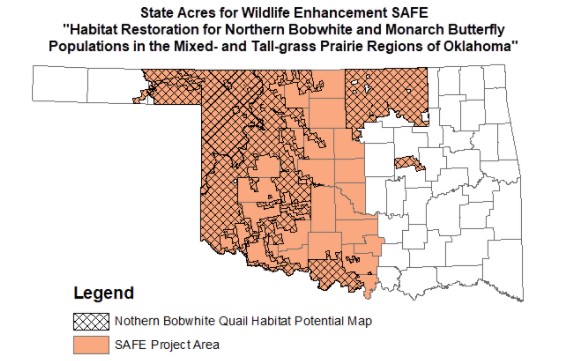 CRP State Acres for Wildlife Enhancement is Bigger and Better for Oklahoma Landowners