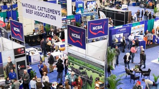 Houston to Host Largest NCBA Trade Show Ever