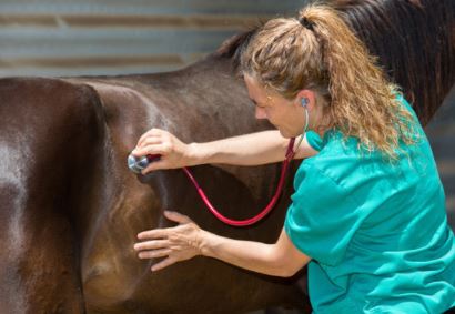 Fiscal Year 2022 Veterinary Shortage Situation Areas Now Available