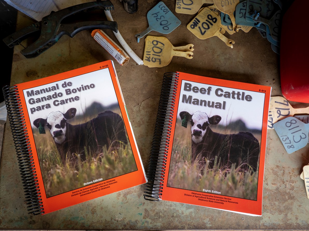 'OSU Extension Beef Cattle Manual' Now Offered in Spanish