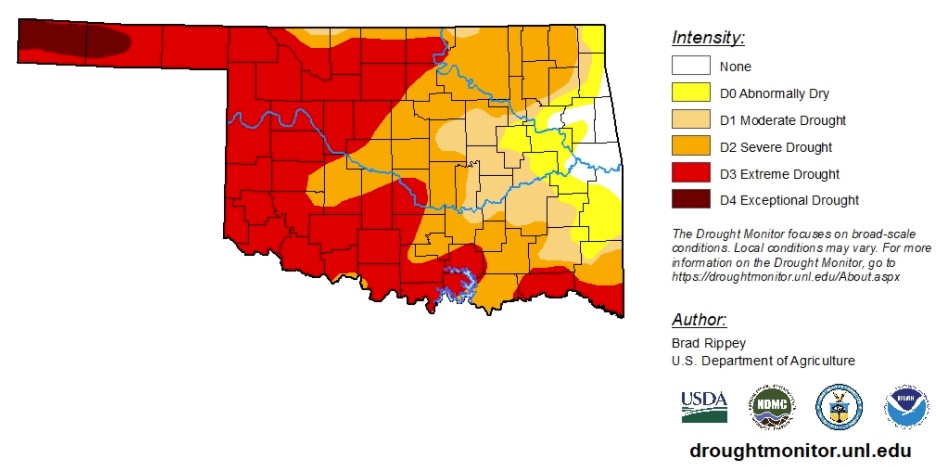 Oklahoma Winter Wheat Crop Condition 43% Poor to Very Poor Because of Drought