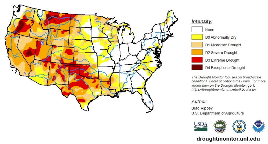 Oklahoma Winter Wheat Crop Condition 43% Poor to Very Poor Because of Drought