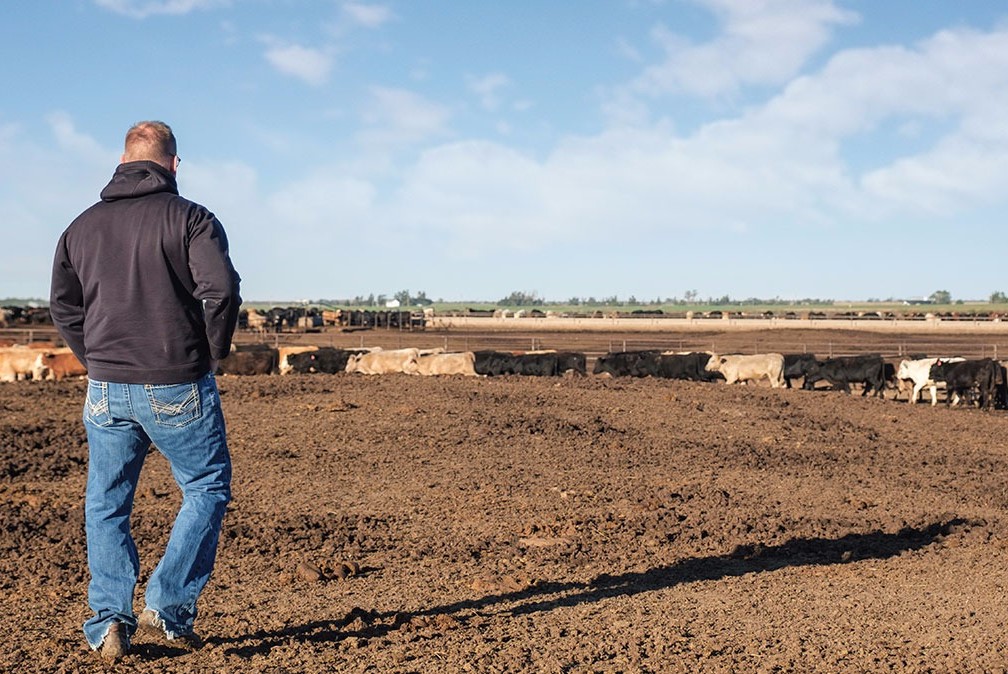 A Look at Declining Feedlot Production in 2022 with OSU's Derrell Peel
