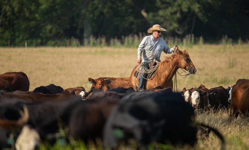 How the Noble Research Institute is Regenerating the Noble Ranches by Starting with Context