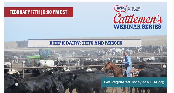 Cattlemen's Webinar Series--Beef X Dairy: Hits and Misses Coming up February 17 at 6pm 