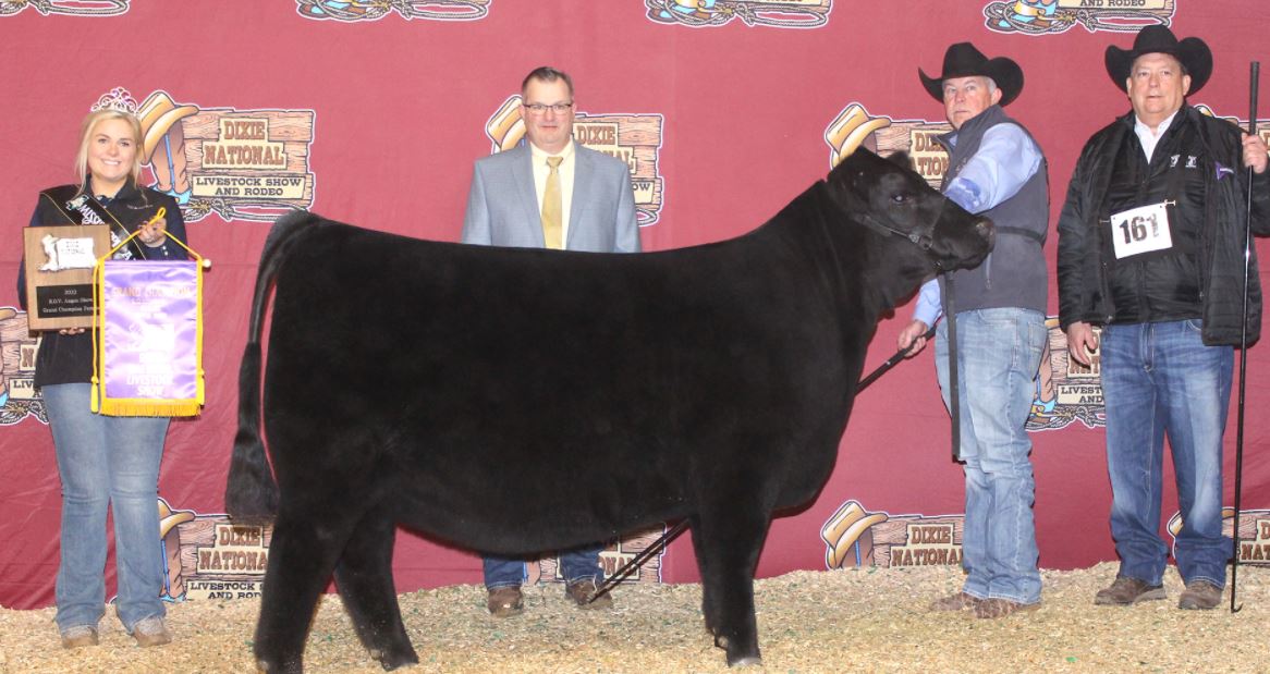 Oklahomans Take Grand Champion Bull and Grand Champion Female at Dixie National Angus Show