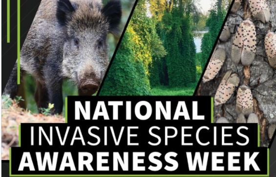 National Invasive Species Awareness Week Feb 28--March 4