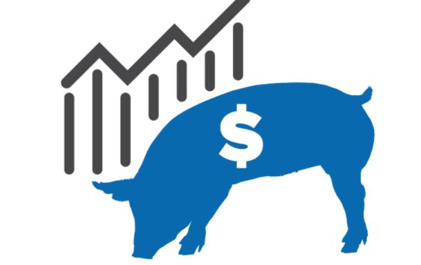 Analysis: Experts Discuss U.S. Pork Export Data and NPB Diversification Strategy