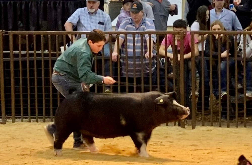 Oklahoma Farm Report - OYE Already Smashing Records as Over 25,000 Animals  and Exhibits Entered for 2022 Show