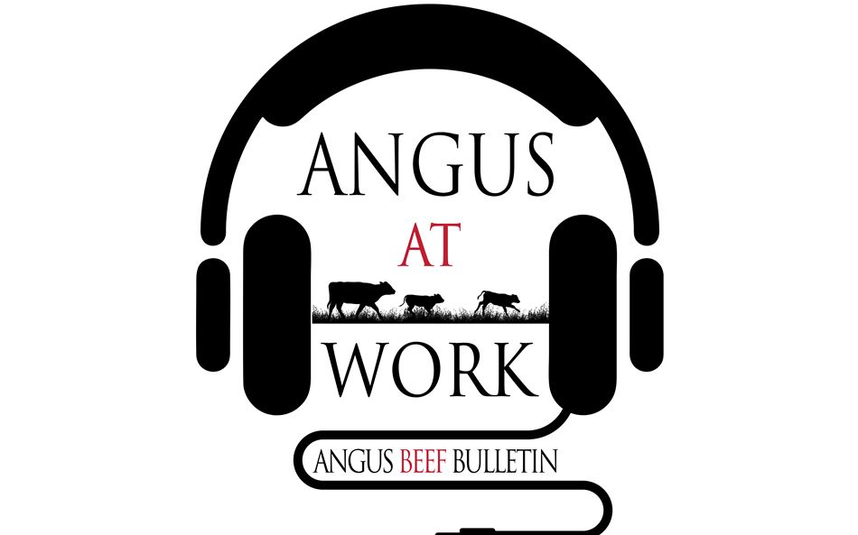 Angus at Work podcast launches March 2