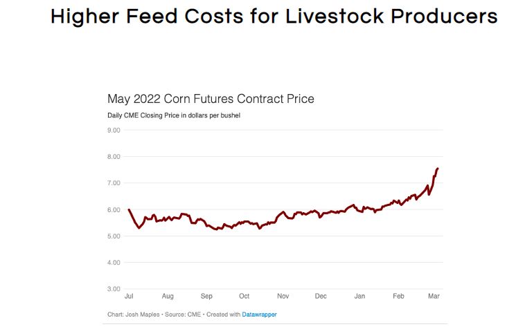 Higher Feed Costs for Livestock Producers