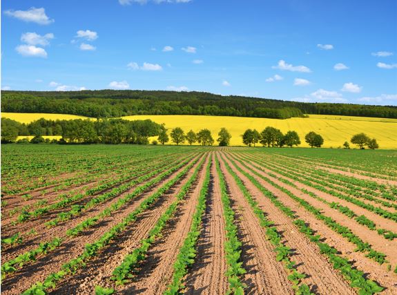 Applications Open for Sustainable Agricultural Systems 