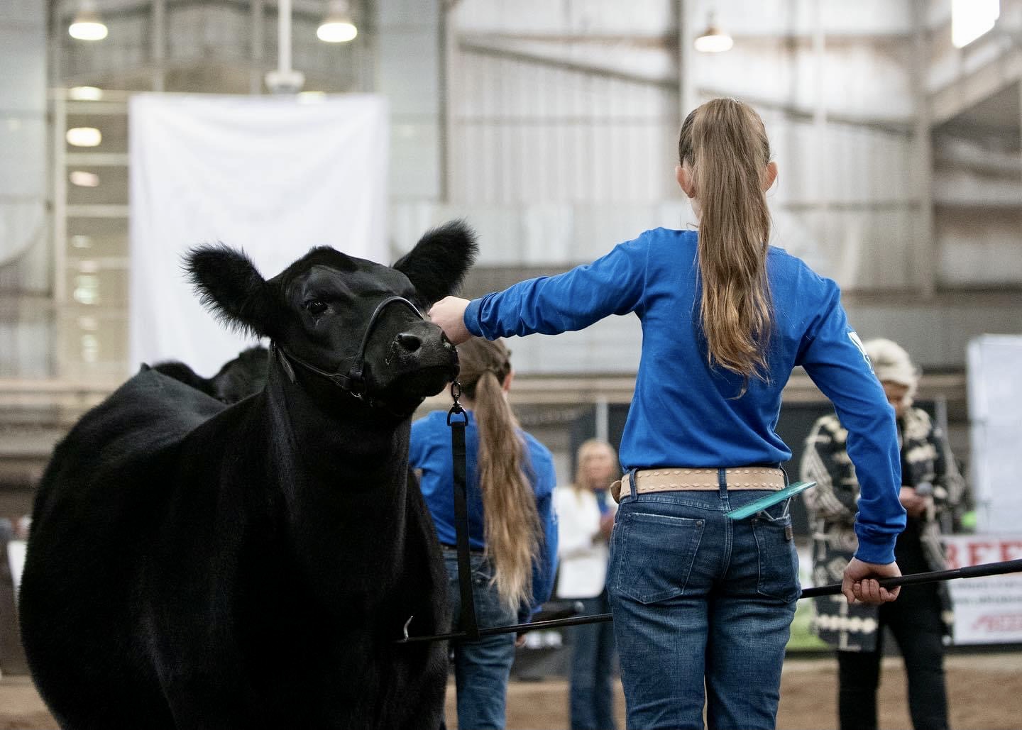 OYE Exhibitors With Youth for the Quality Care of Animals Certification Eligible for Prize Drawing from Oklahoma Beef Council