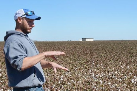 OSU's Seth Byrd On How Cotton Producers are Trying to do More With Less