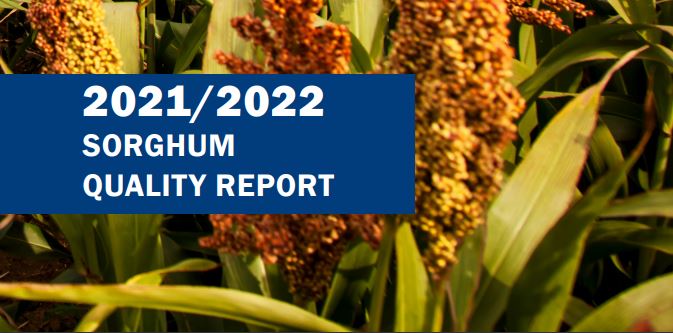 2021/22 Sorghum Quality Report Released By U.S. Grains Council