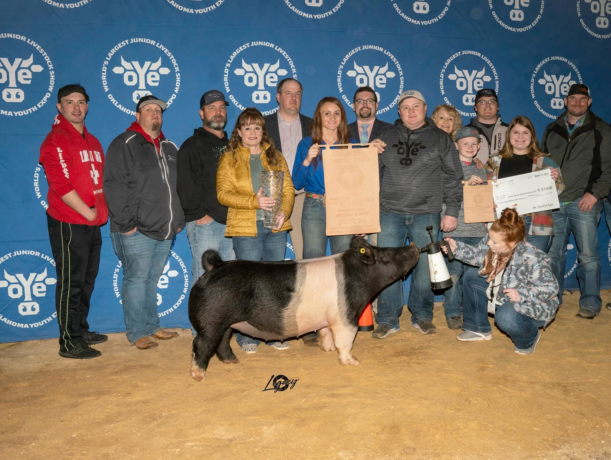 OYE Night of Stars Sale a Success- 130 Gilts Sell for $6769 Average 