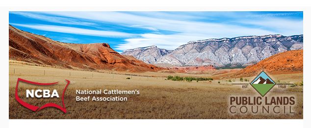 NCBA and PLC Welcome Expansion of ELAP