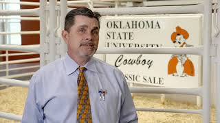 Heat Detection and Timing of Artificial Insemination with OSU's Mark Johnson