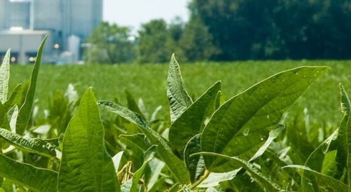 Oklahoma Grain Elevator Cash Bids as of 2 p.m. April 21, 2022