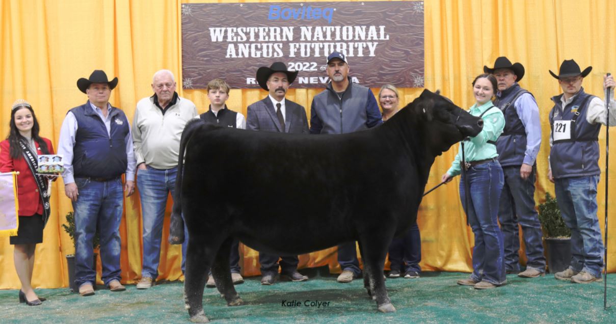 Express Ranches, Jake Allison & Meah Allison Win Big at Western National Angus Futurity