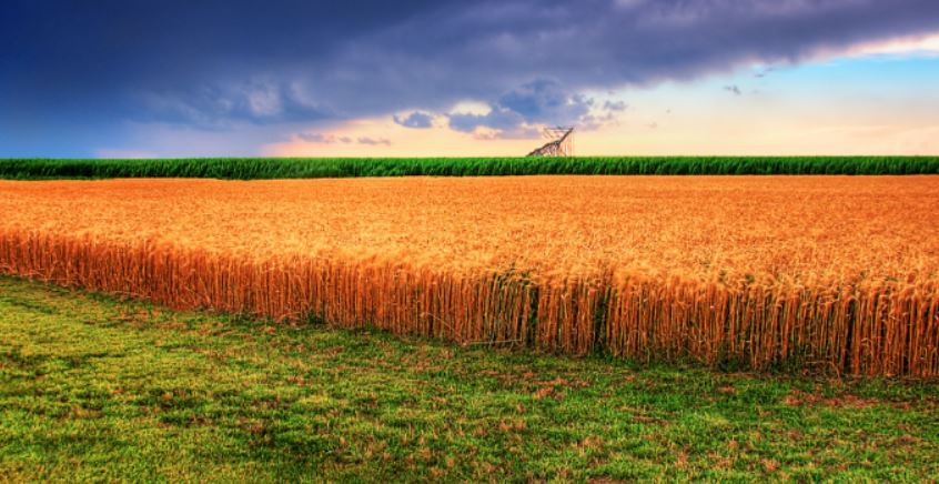 Proposed SEC Rule Could Reach Nearly Every Farmer and Rancher