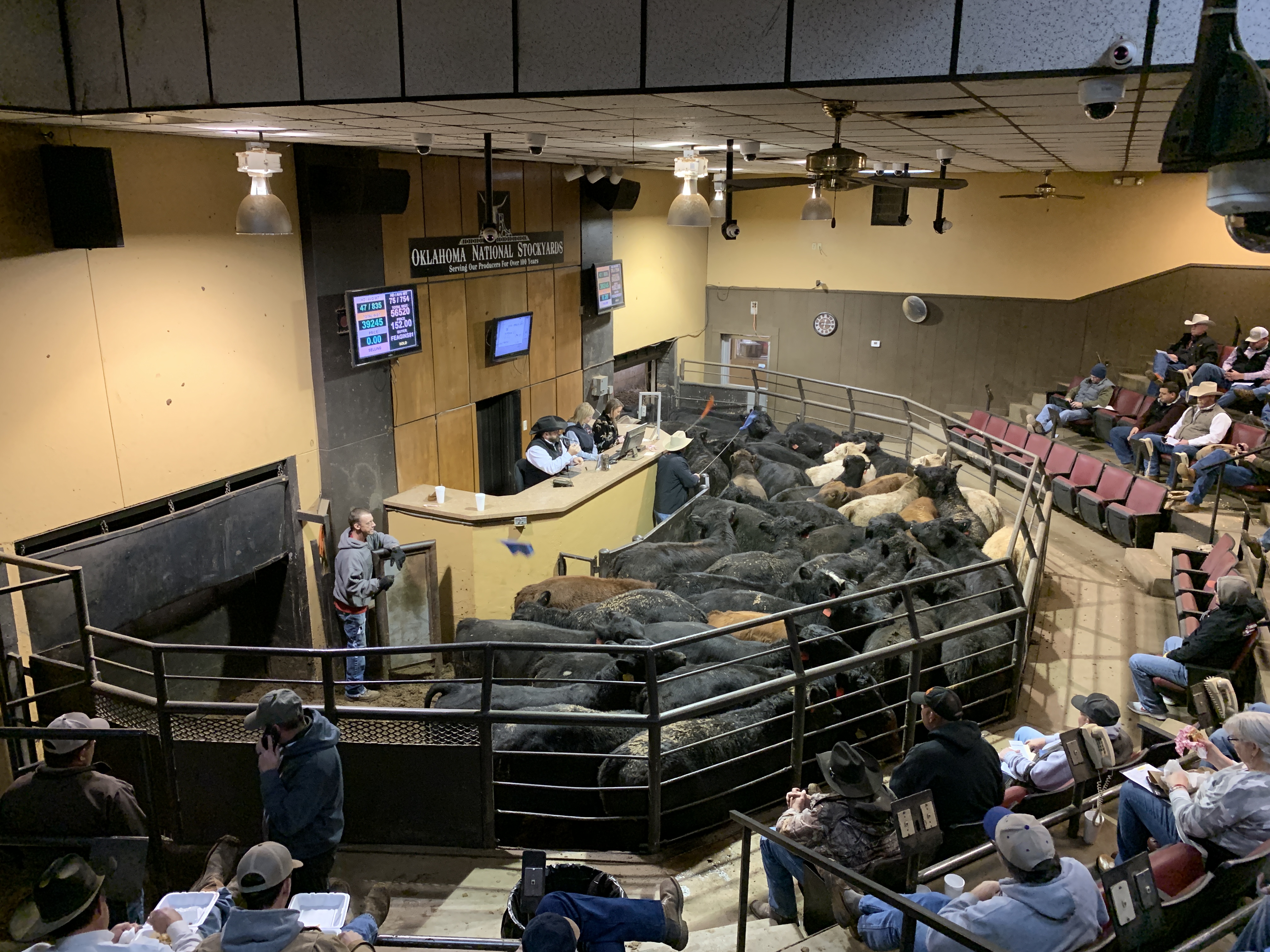 Feeder Steers and Heifers Higher, Steer and Heifer Calves Lower at Oklahoma National Stockyards on Monday