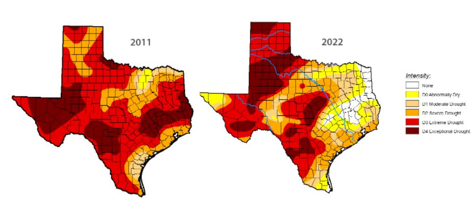 USDA Designates 209 Texas Counties as Primary Disaster Areas for Drought