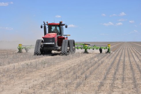 OSU's Seth Byrd Advises Cotton Farmers to Take Advantage of Any Moisture They Can Get 