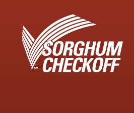 Sorghum Checkoff Continues the Cultivation of Sorghum Leaders