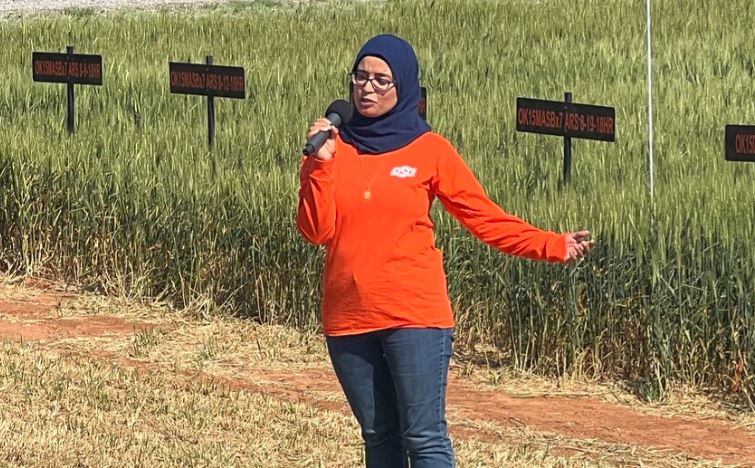 OSU's Newest Addition to the Wheat Improvement Team, Dr. Meriem Aoun, is Excited to Fight Wheat Disease 
