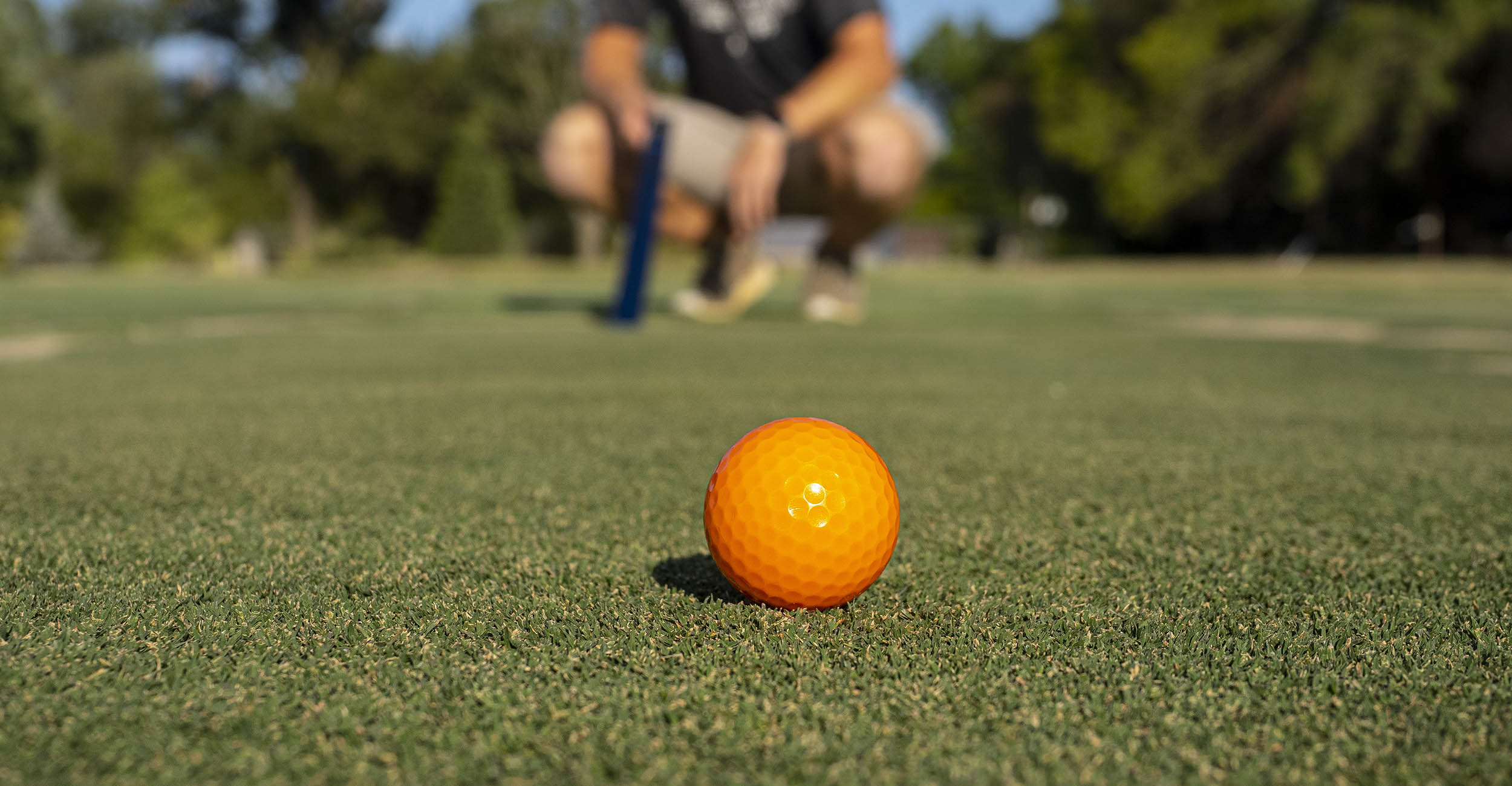 OSU Announces Two New Turfgrass Varieties
