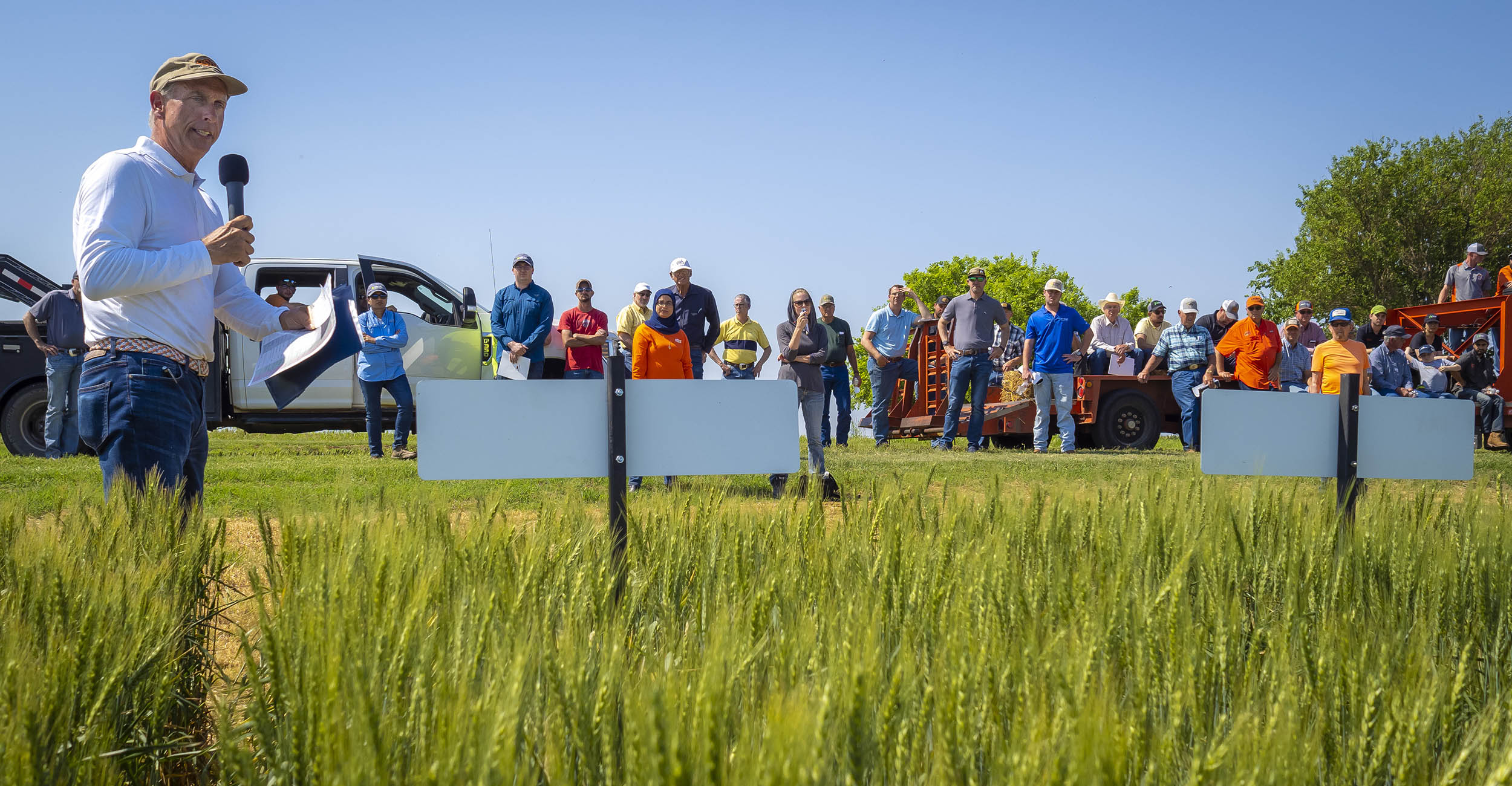 OSU on the Forefront of Developing Higher Quality Wheat