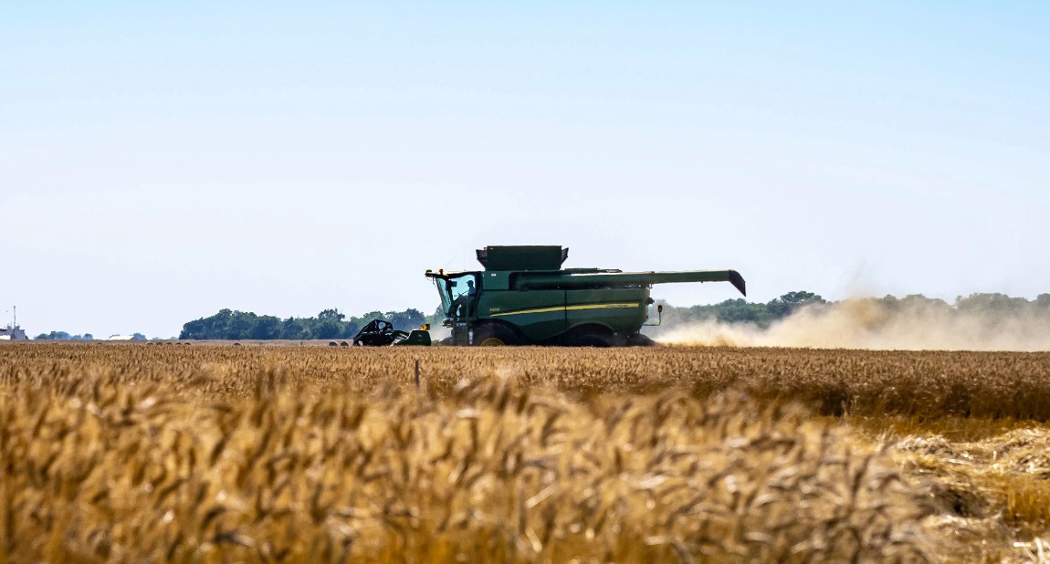 Oklahoma Wheat Harvest and Corn Planting Close to Five-Year-Average