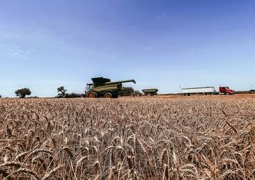 Oklahoma Wheat Commission is Calling Oklahoma Wheat Harvest 45% Completed as Hot Dry Conditions Cover the State