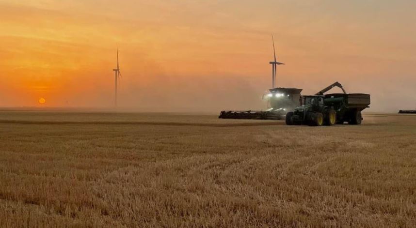 Oklahoma Winter Wheat Harvest Almost Complete, Up 12 Percentage Points from Five-Year Average