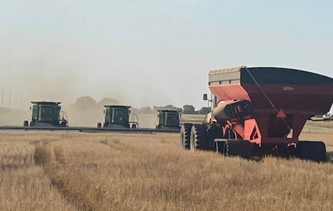 Oklahoma Wheat Harvest At 85 Percent Complete