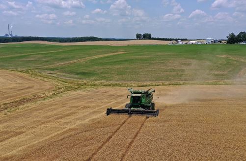 US Wheat Associates Weekly Harvest Report for June 24, 2022