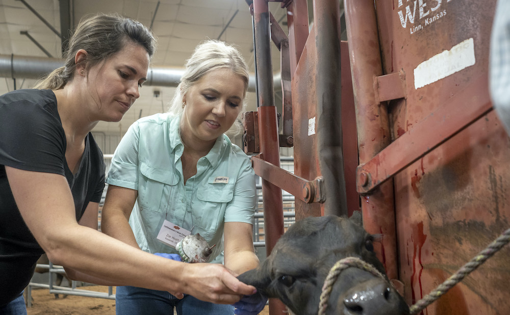 Women-Only Cattle Camp Empowers Female Ranchers