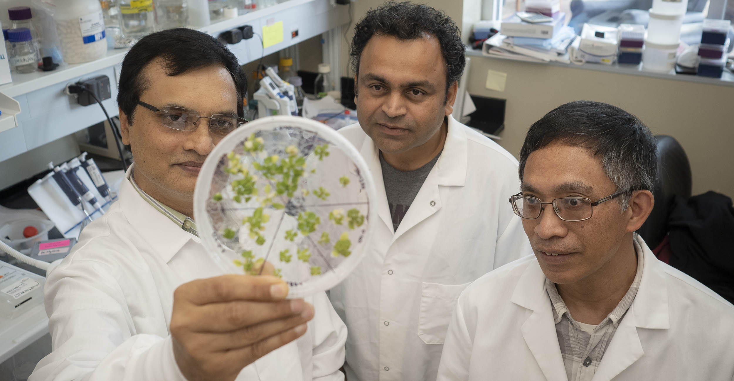 OSU Scientists Revolutionizing Legume Genetic Research