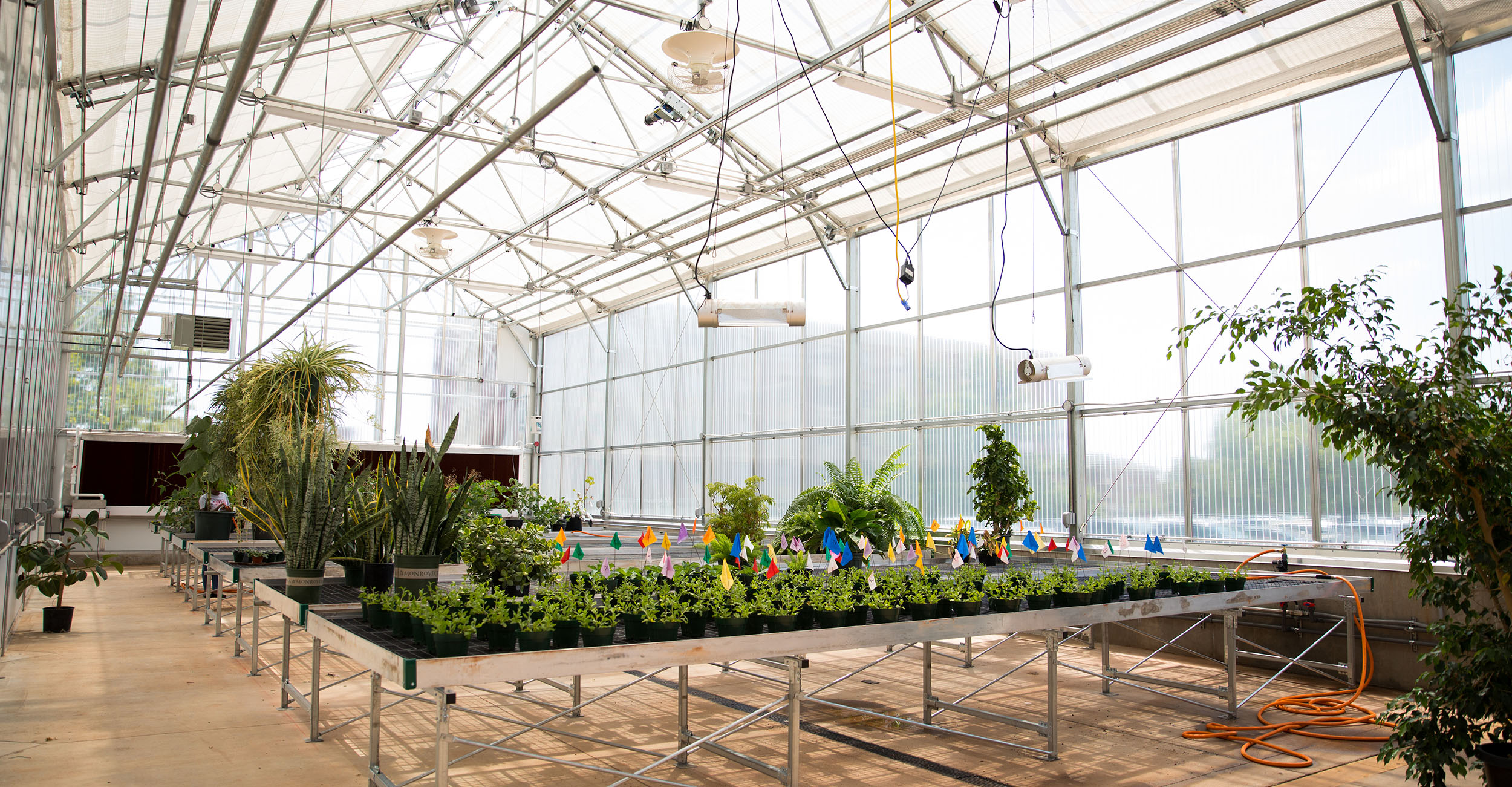 OSU to Host Greenhouse and Garden Center Conference