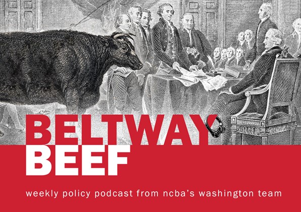 Latest NCBA Beltway Beef Podcast Episode: NCBA Educates Producers on Asian Longhorned Tick