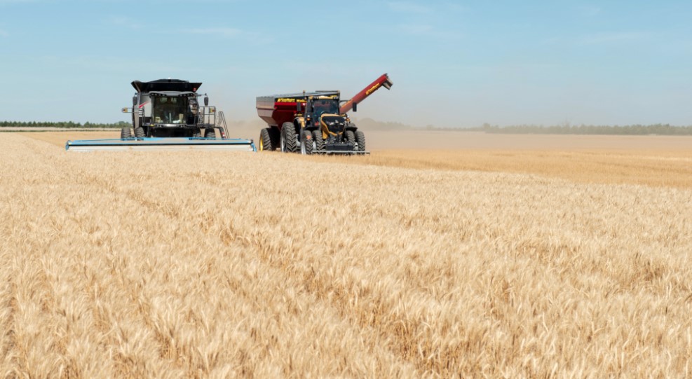 Black Sea Grain Corridor, Weather And Harvest Pressure Wheat Prices