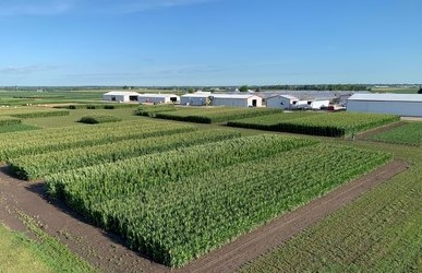 Bayer Showcases Breakthrough Innovations to Meet Global Challenges in Agriculture 